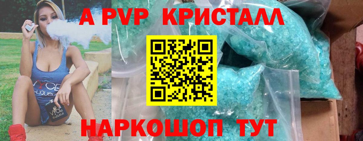 Альфа ПВП СК Новодвинск
